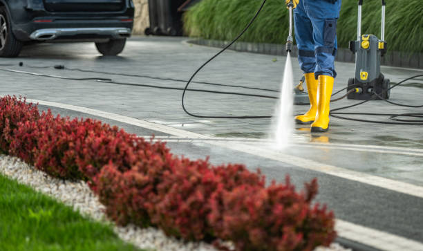 Best Patio and Deck Pressure Washing  in Daleville, IN